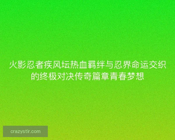 火影忍者疾风坛热血羁绊与忍界命运交织的终极对决传奇篇章青春梦想