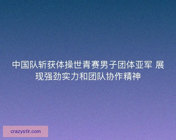 中国队斩获体操世青赛男子团体亚军 展现强劲实力和团队协作精神